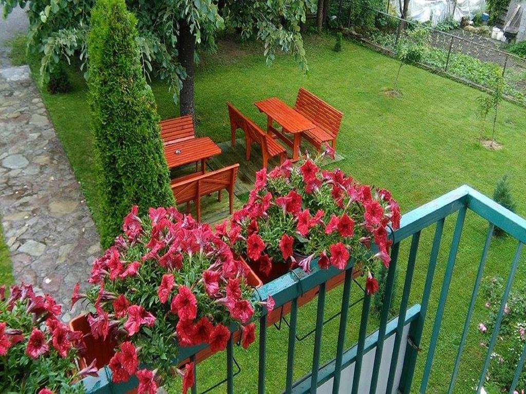 Apartments Radovic Колашин Екстер'єр фото